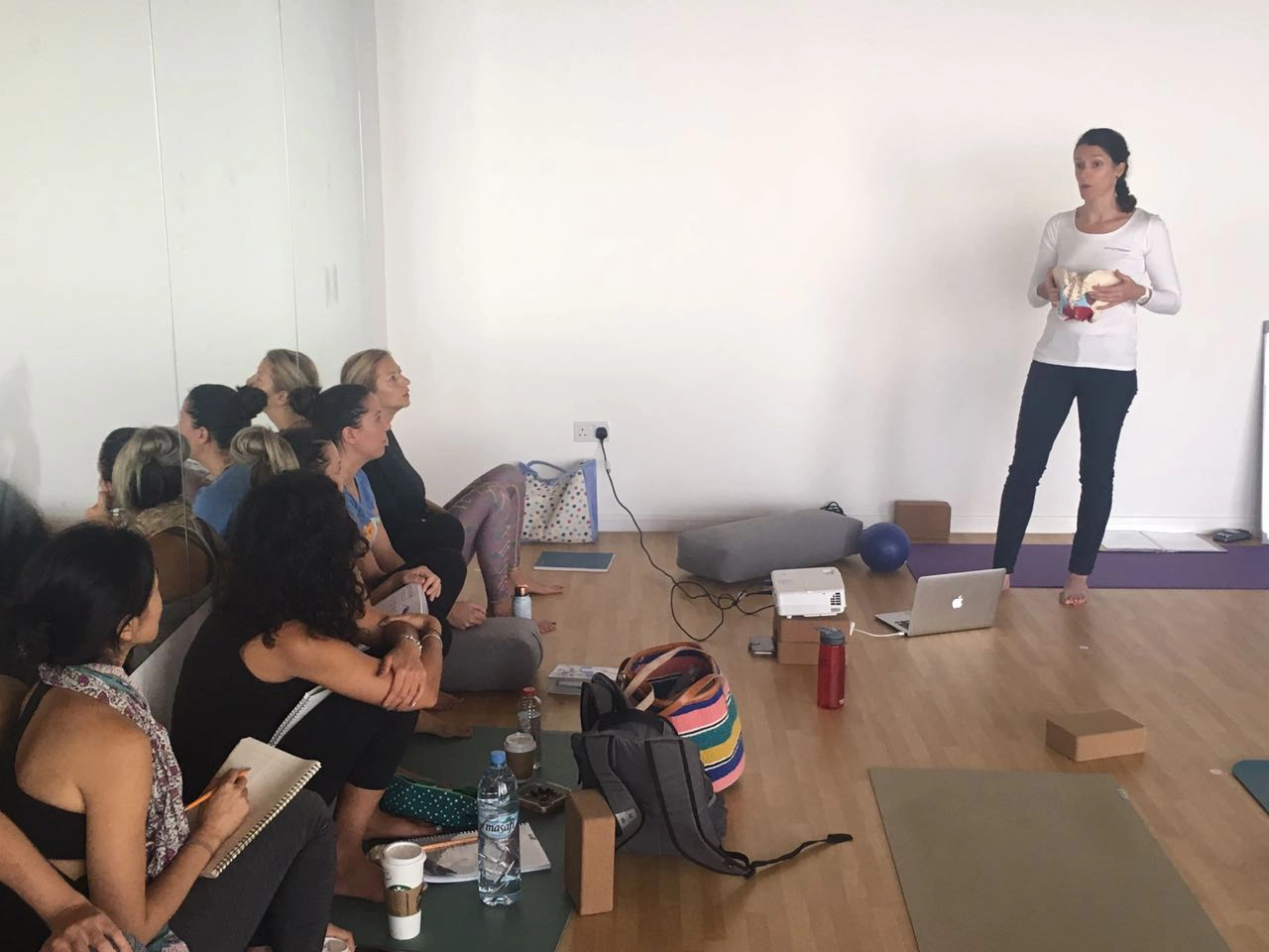 Workshop: Teaching pelvic anatomy